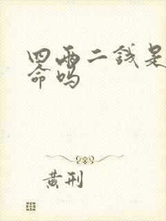 四两二钱是富贵命吗