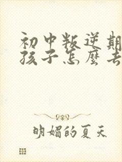 初中叛逆期的男孩子怎么去引导