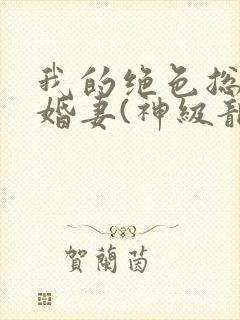 我的绝色总裁未婚妻(神级龙卫)
