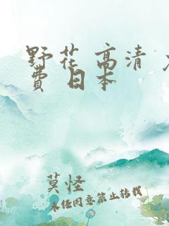 野花 高清 免费 日本