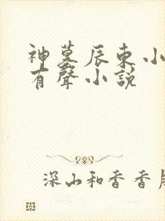 神墓辰东小说听有声小说
