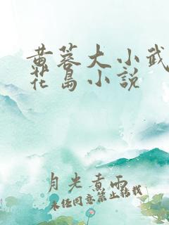 黄蓉大小武在桃花岛小说