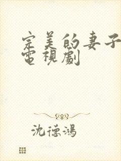 完美的妻子韩剧电视剧
