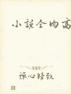 小说全肉高h