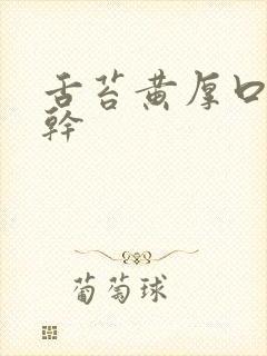 舌苔黄厚口苦口干