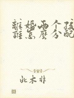 离婚两个孩子归谁怎么分配