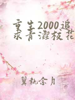 重生2000追求青涩校花同桌开始免费阅读正版
