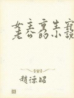 女主重生宠儿子老公的小说