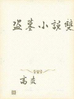 盗墓小说双男主