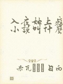 入夜她上瘾原著小说叫什么