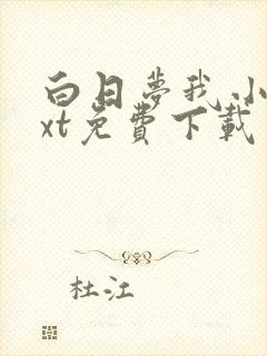 白日梦我小说txt免费下载