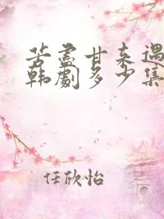 苦尽甘来遇见你韩剧多少集