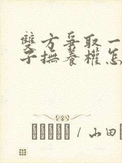 双方争取一个孩子抚养权怎么办