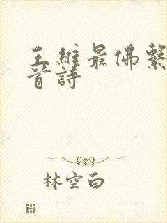 王维最佛系的十首诗