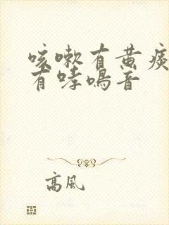 咳嗽有黄痰呼吸有哮鸣音