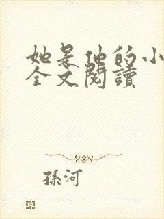 她是他的小仙女全文阅读