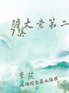 胆大党第二季第7集
