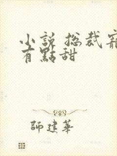 小说 总裁宠妻有点甜