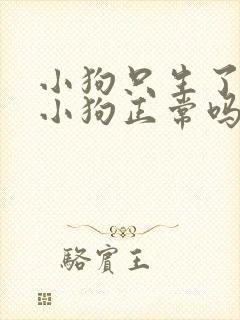 小狗只生了一只小狗正常吗