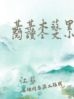 某某木苏里免费阅读全文小说