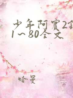 少年阿宾2钰慧1～80全文