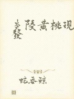 炎陵黄桃现摘现发