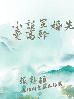 小说军婚先婚后爱高干