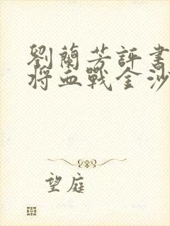 刘兰芳评书杨家将血战金沙滩