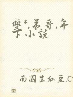 双*,弟哥,年下小说