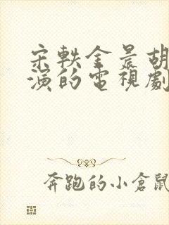 宋轶金晨胡军主演的电视剧