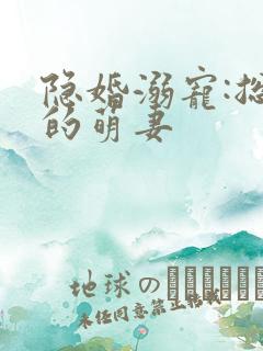 隐婚溺宠:总裁的萌妻