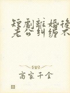 短剧离婚后前夫老公纠缠不休