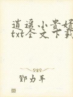 逍遥小贵婿小说txt全文下载