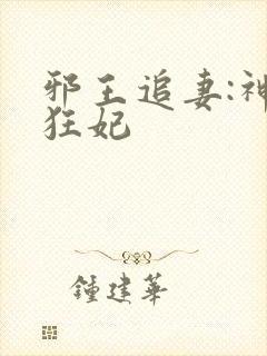 邪王追妻:神医狂妃
