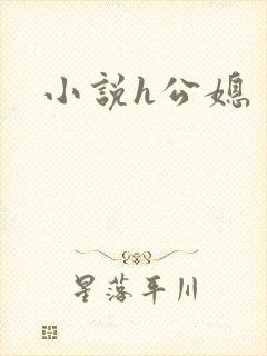 小说h公媳