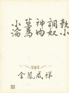 小草神调教喷水沦为肉奴小说