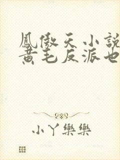 凤傲天小说中的黄毛反派也想幸福