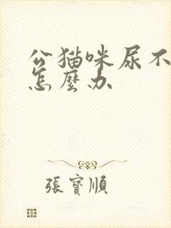 公猫咪尿不出来怎么办