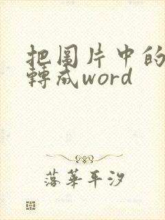 把图片中的表格转成word