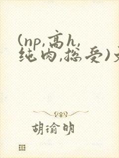 (np,高h,纯肉,总受)文