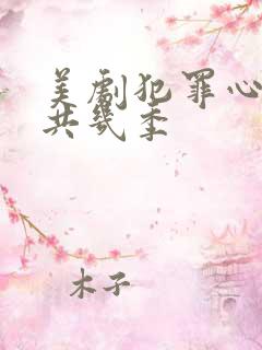 美剧犯罪心理一共几季