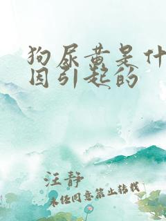狗尿黄是什么原因引起的