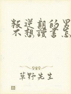 叛逆期的男孩子不想读书怎么办
