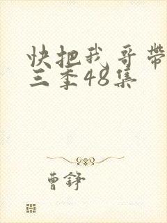 快把我哥带走第三季48集