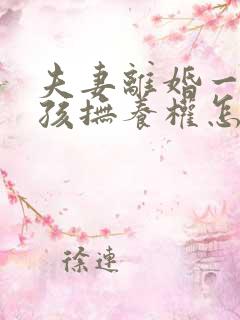 夫妻离婚一个小孩抚养权怎么判