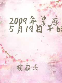 2009年农历5月19日午时八字