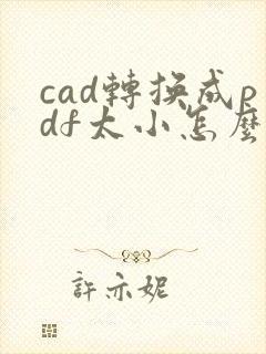 cad转换成pdf太小怎么调整