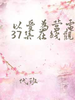 以爱为营电视剧37集在线观看