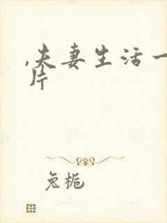 ,夫妻生活一级片