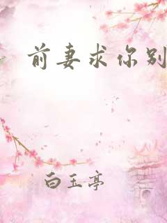 前妻求你别改嫁
